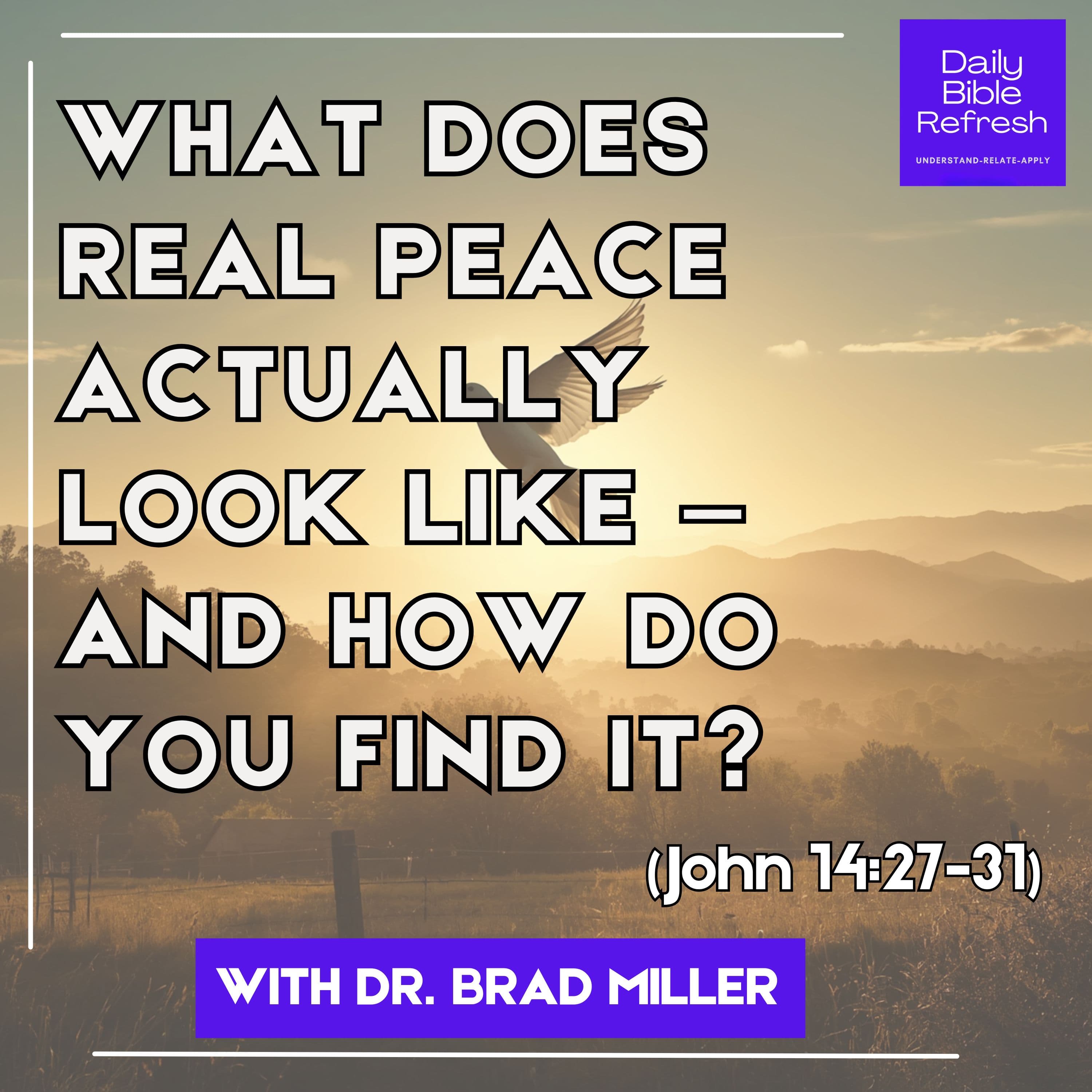 What Does Real Peace Actually Look Like — and How Do You Find It?" (John 14:27-31)